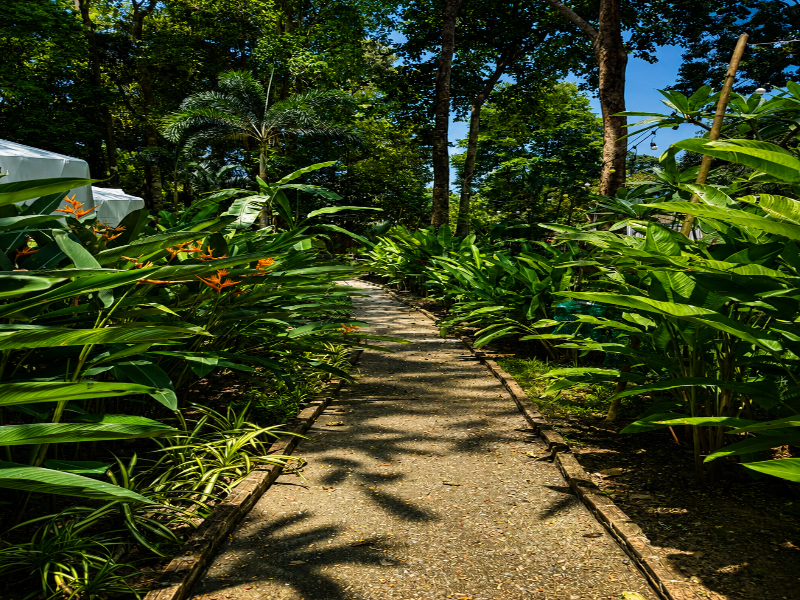 Vanara Bungalows image