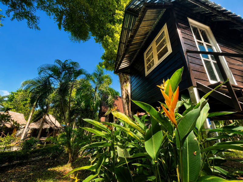 Vanara Bungalows image