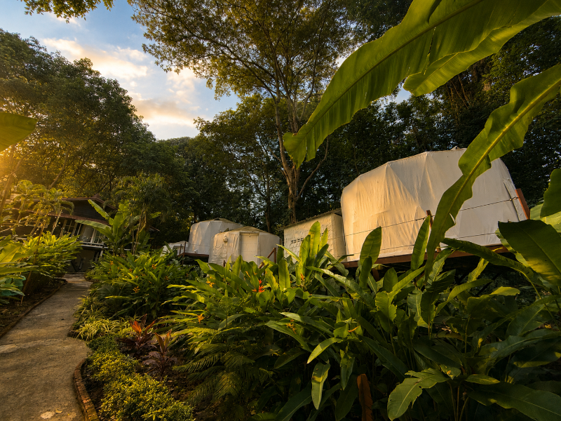 Vanara Bungalows image