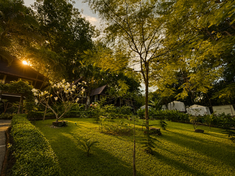 Vanara Bungalows image