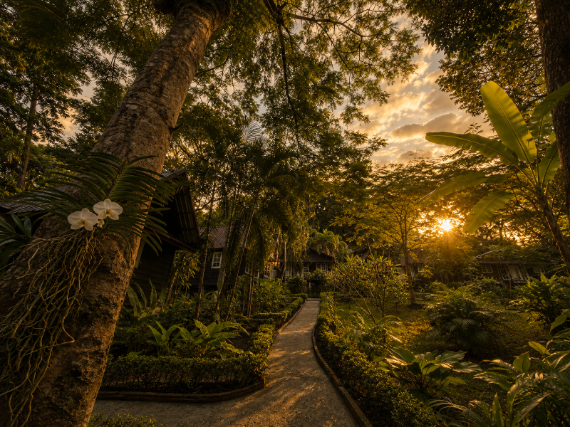 Vanara Bungalows image