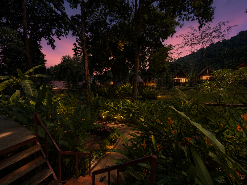 Vanara Bungalows image