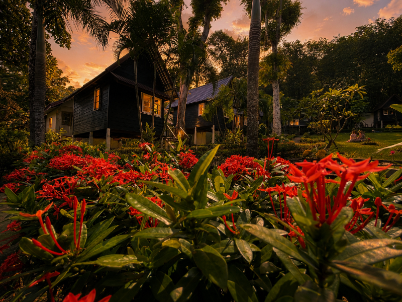Vanara Bungalows image