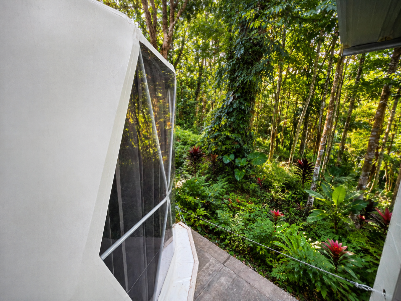 Vanara Bungalows image