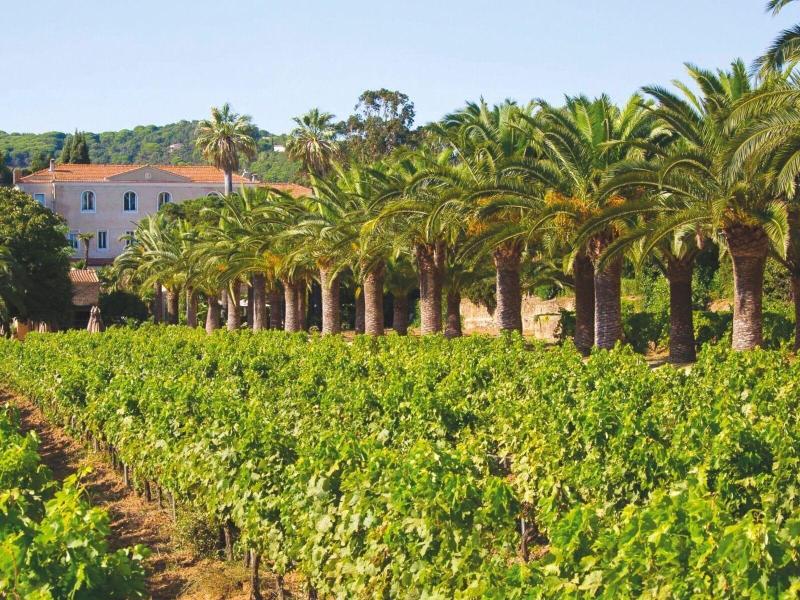 Chateau De Valmer image
