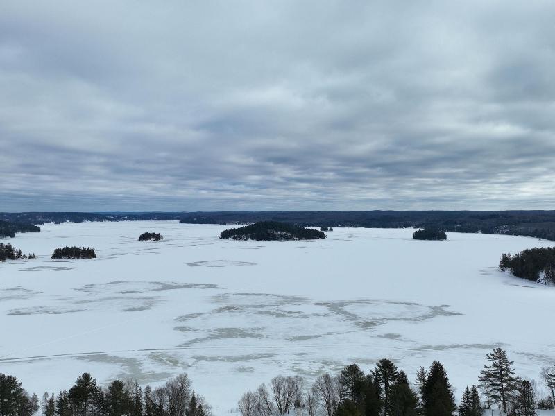 3 Pines Lodge Muskoka — general view