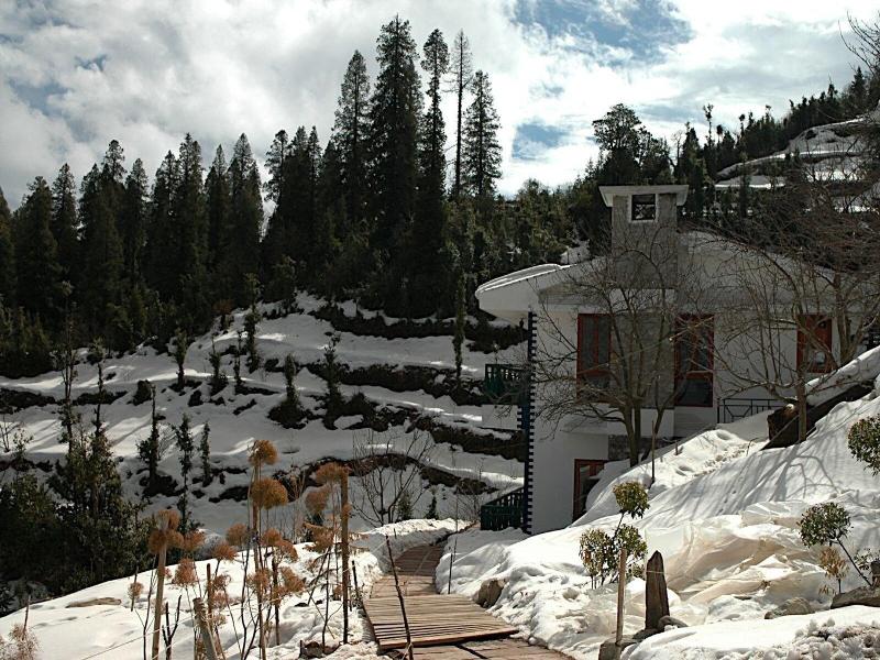 The Terraces