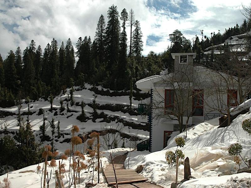 The Terraces