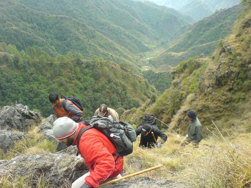The Terraces image
