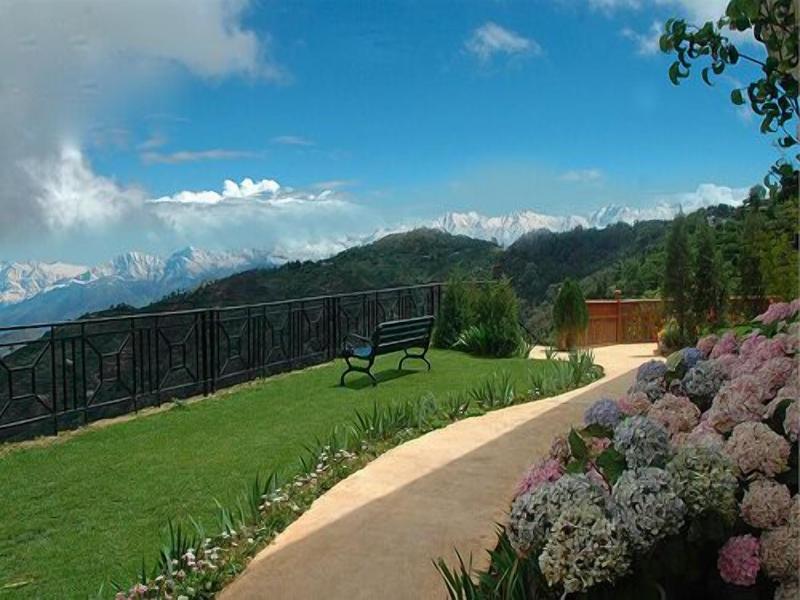 The Terraces image