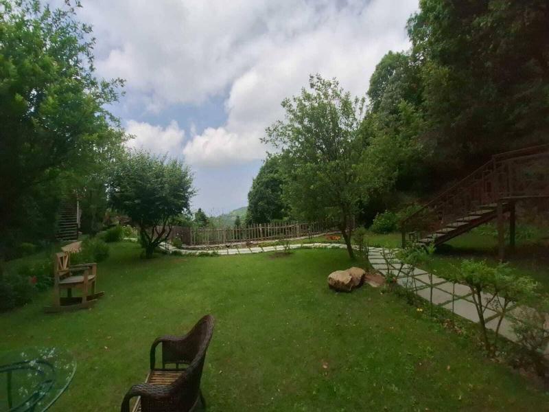 The Terraces image