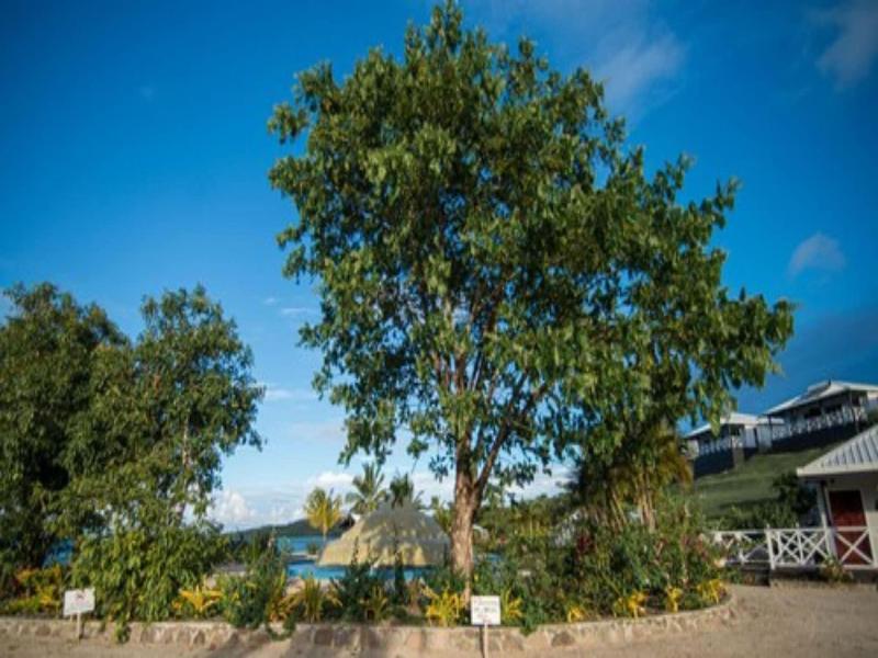 Dua Dua Beach Resort image