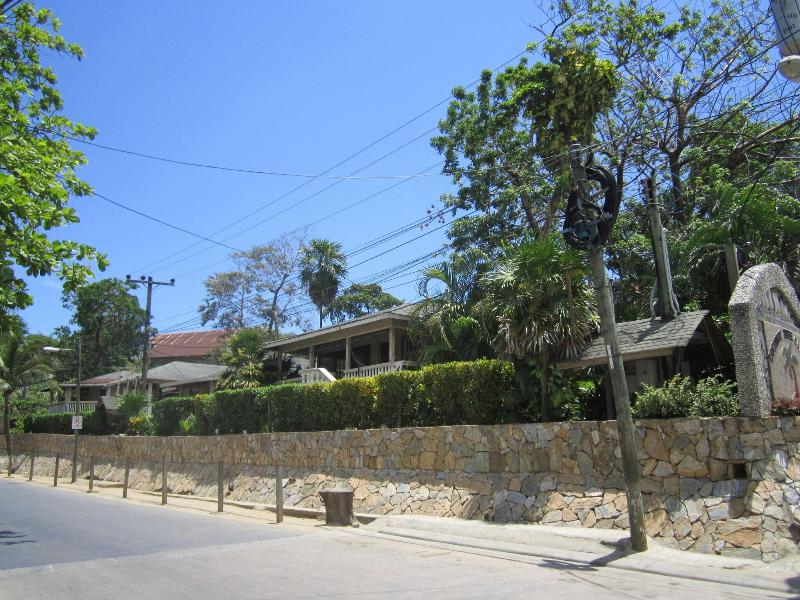 Coconut Tree West End image