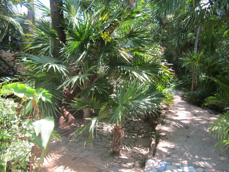 Coconut Tree West End image