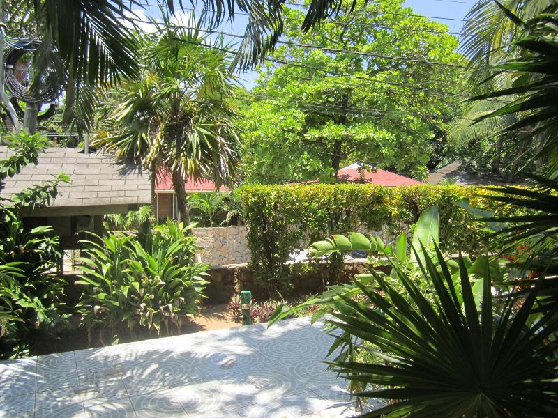 Coconut Tree West End image