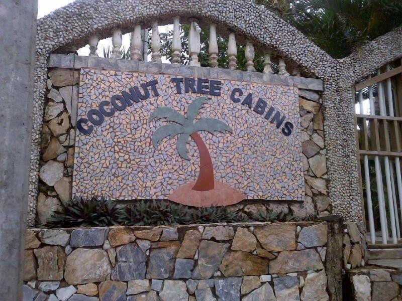 Coconut Tree West End image