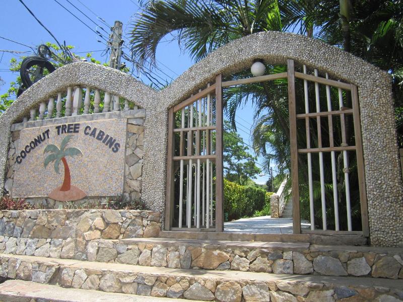 Coconut Tree West End image