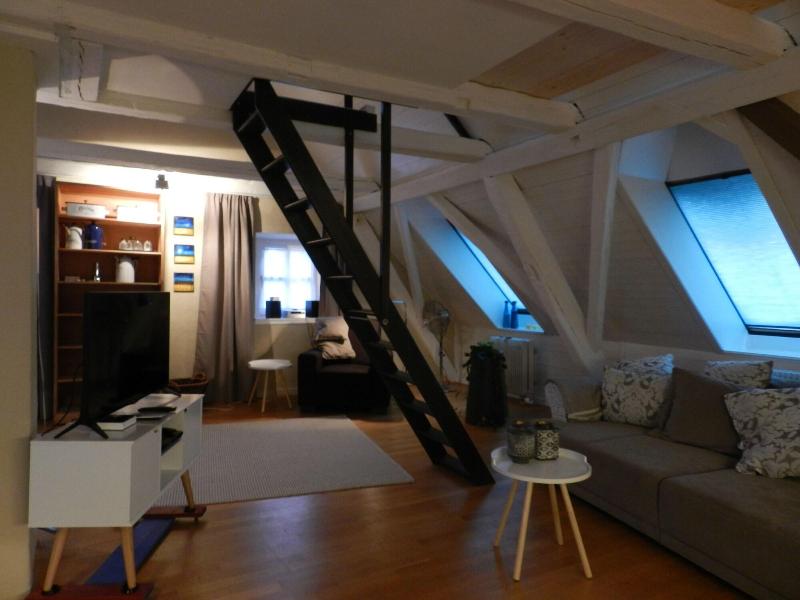 Blue Wall Bnb Business Apartments image