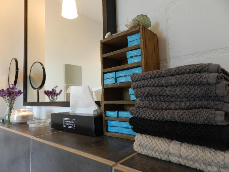 Blue Wall Bnb Business Apartments image