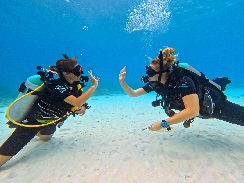 Bloozz Resort Bonaire image