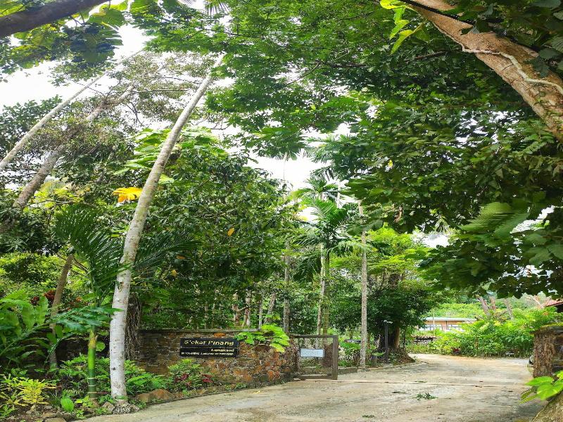 S Ekar Pinang Langkawi image