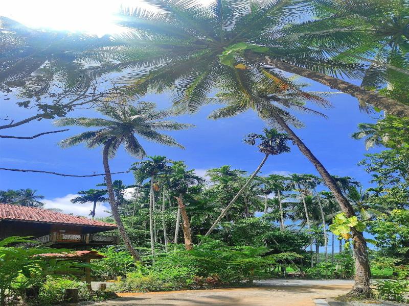 S Ekar Pinang Langkawi image