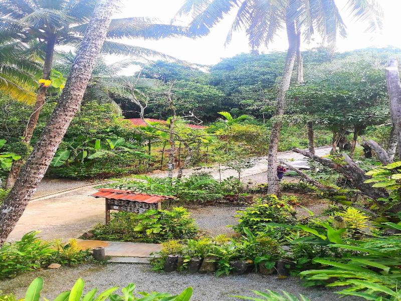 S Ekar Pinang Langkawi image