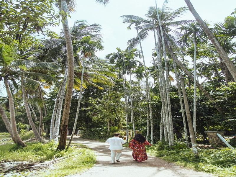 S Ekar Pinang Langkawi image