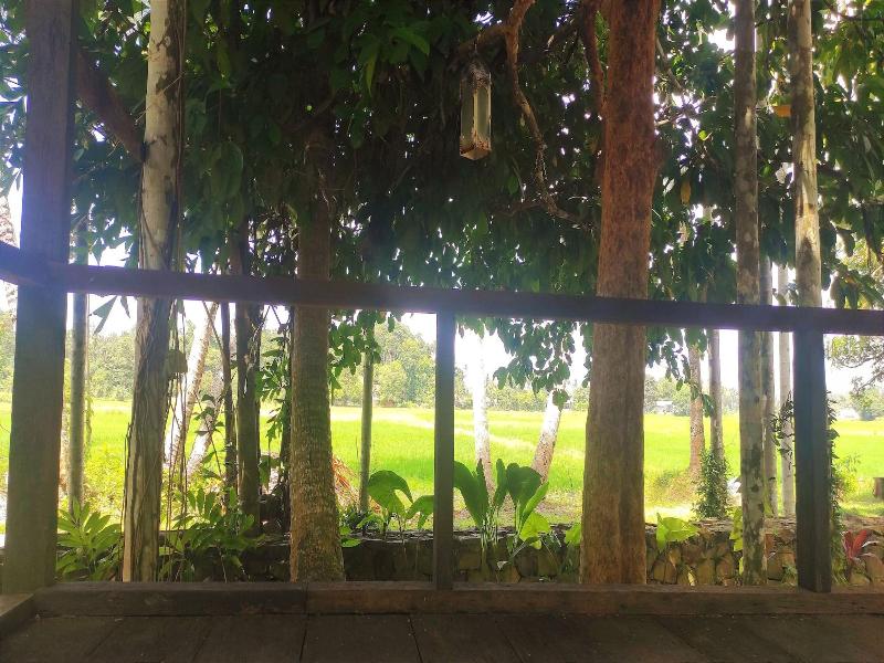 S Ekar Pinang Langkawi image