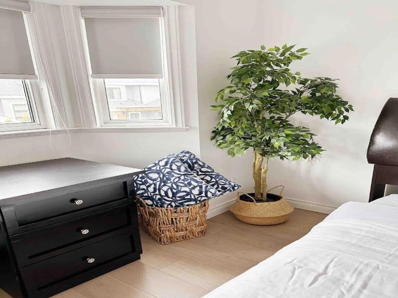 Richmond Cozy Place image