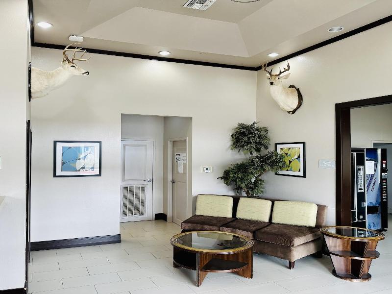 Lone Star Inn image