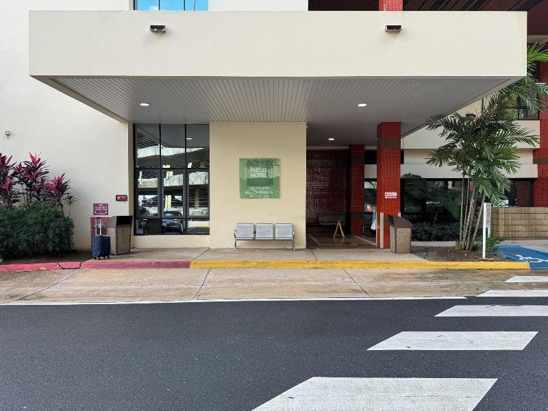 Ficus Hotel image
