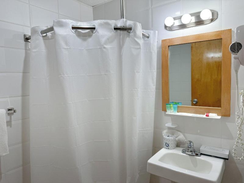 Ficus Hotel image
