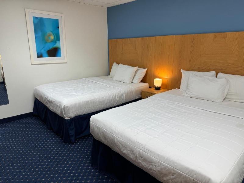 Ficus Hotel image