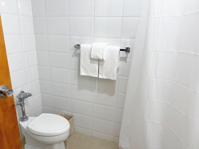 Ficus Hotel image