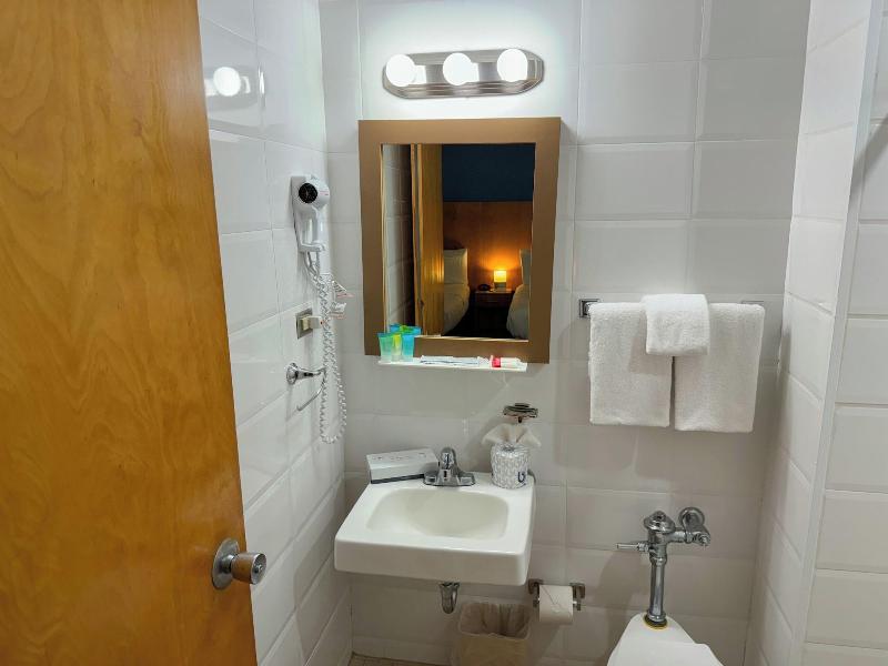 Ficus Hotel image