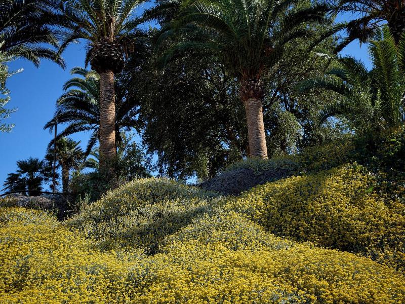 Montegrottone Nature Retreat image