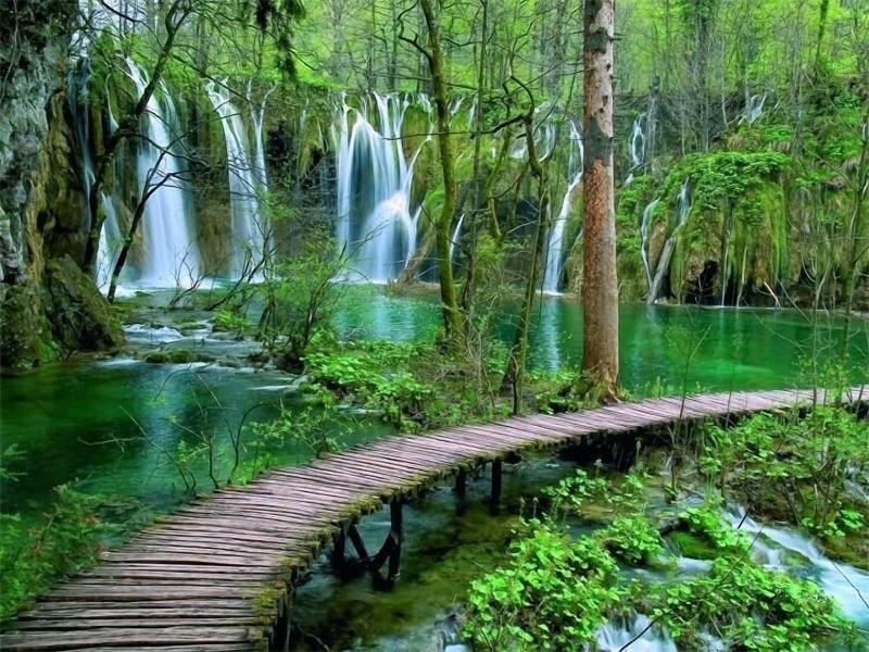 Plitvice Falls Cottage image