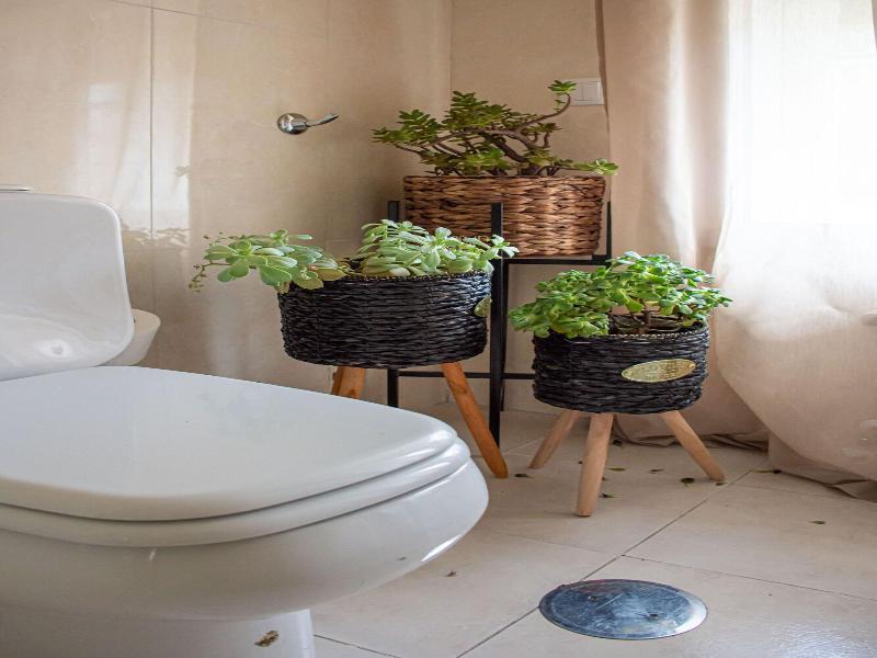 O Porto Seven Guest House image