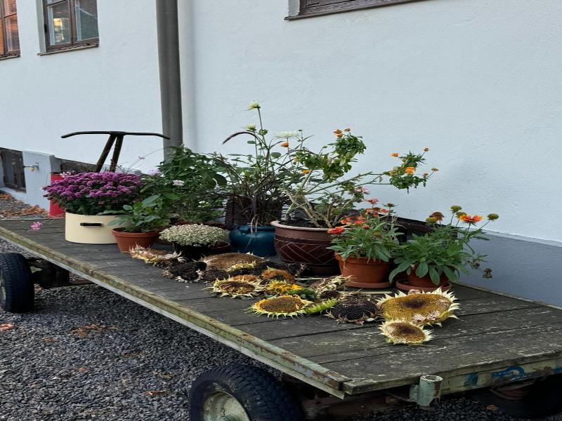 Stf Landskrona Hostel image