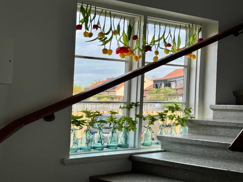 Stf Landskrona Hostel image