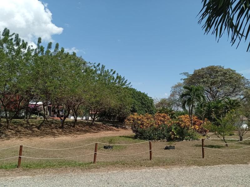 Hotel Saman Del Rio image