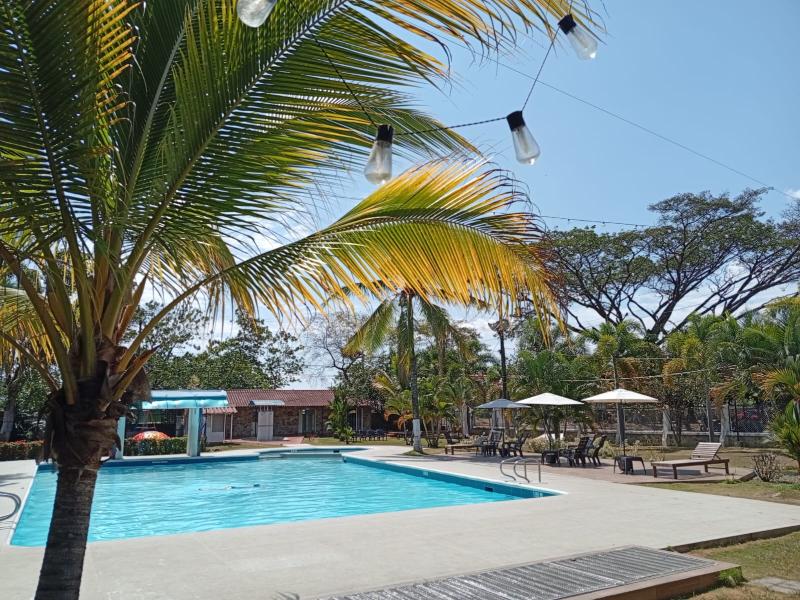 Hotel Saman Del Rio image