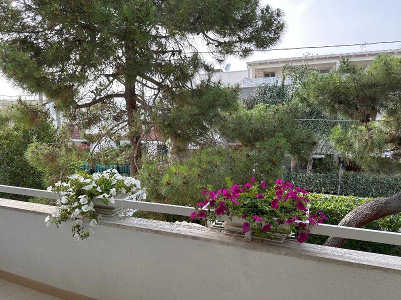 Villa Teresa Maria image