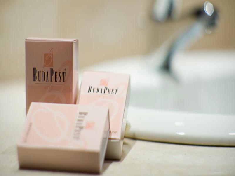 Budapest Hotel image
