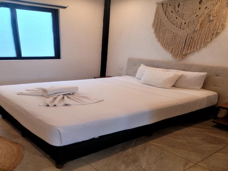 Live Coco Suites image