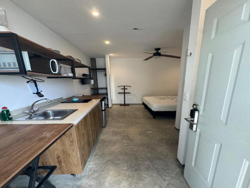 Live Coco Suites image