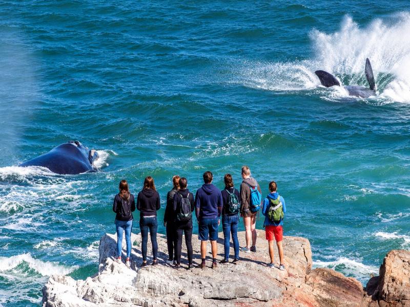 Never@home Hermanus image
