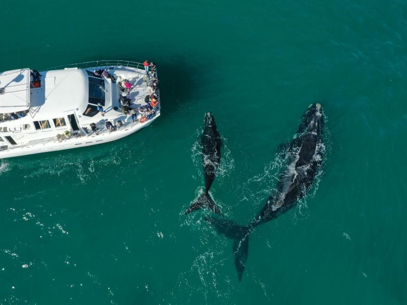 Never@home Hermanus image
