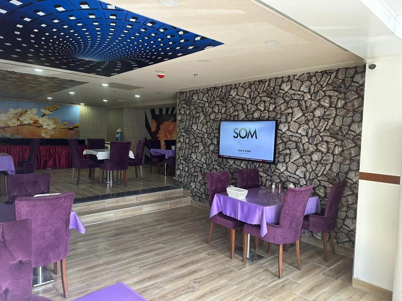 Koza Millenyum Spa Hotel image